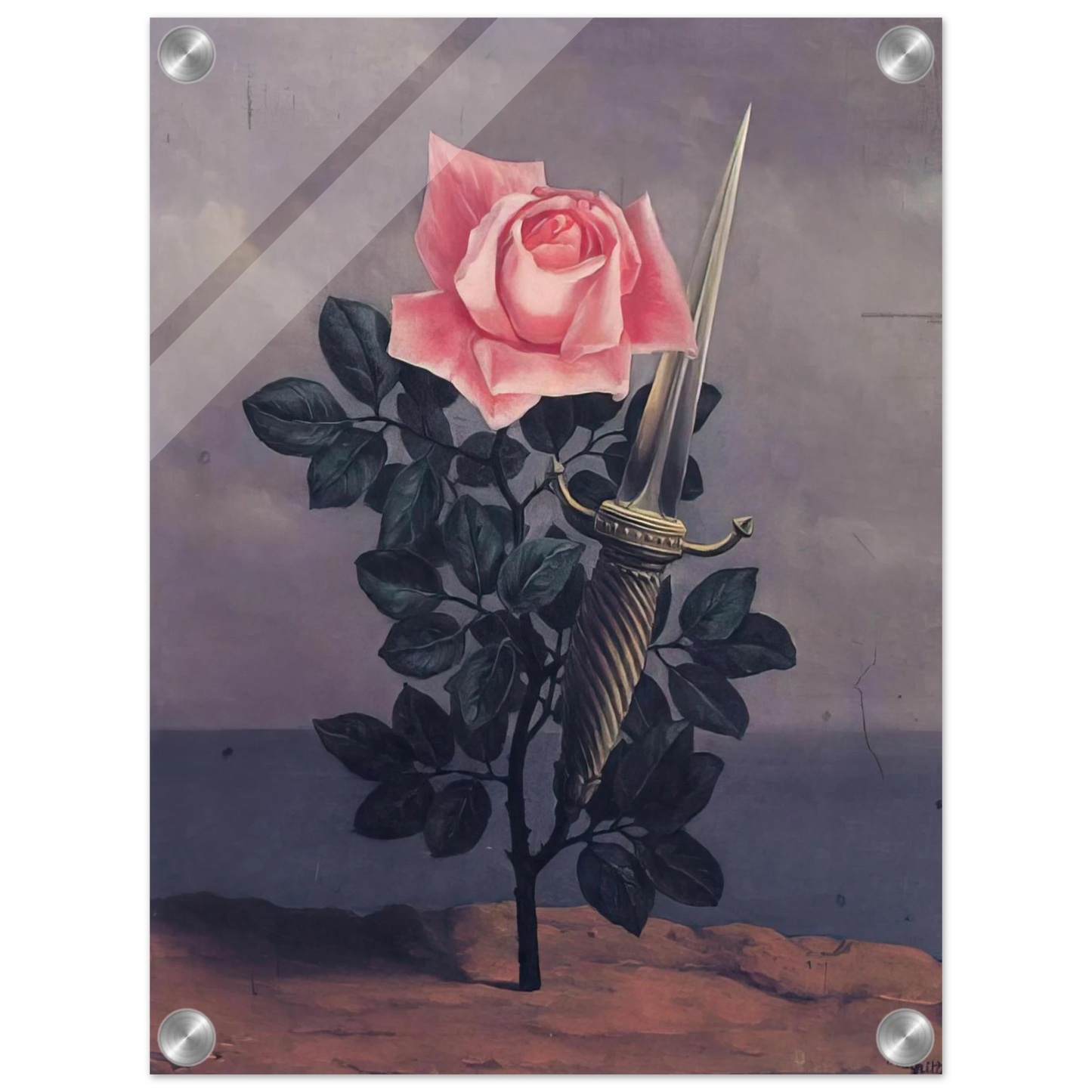 d0902561-c50a-4e43-986a-d420ab0d1d84