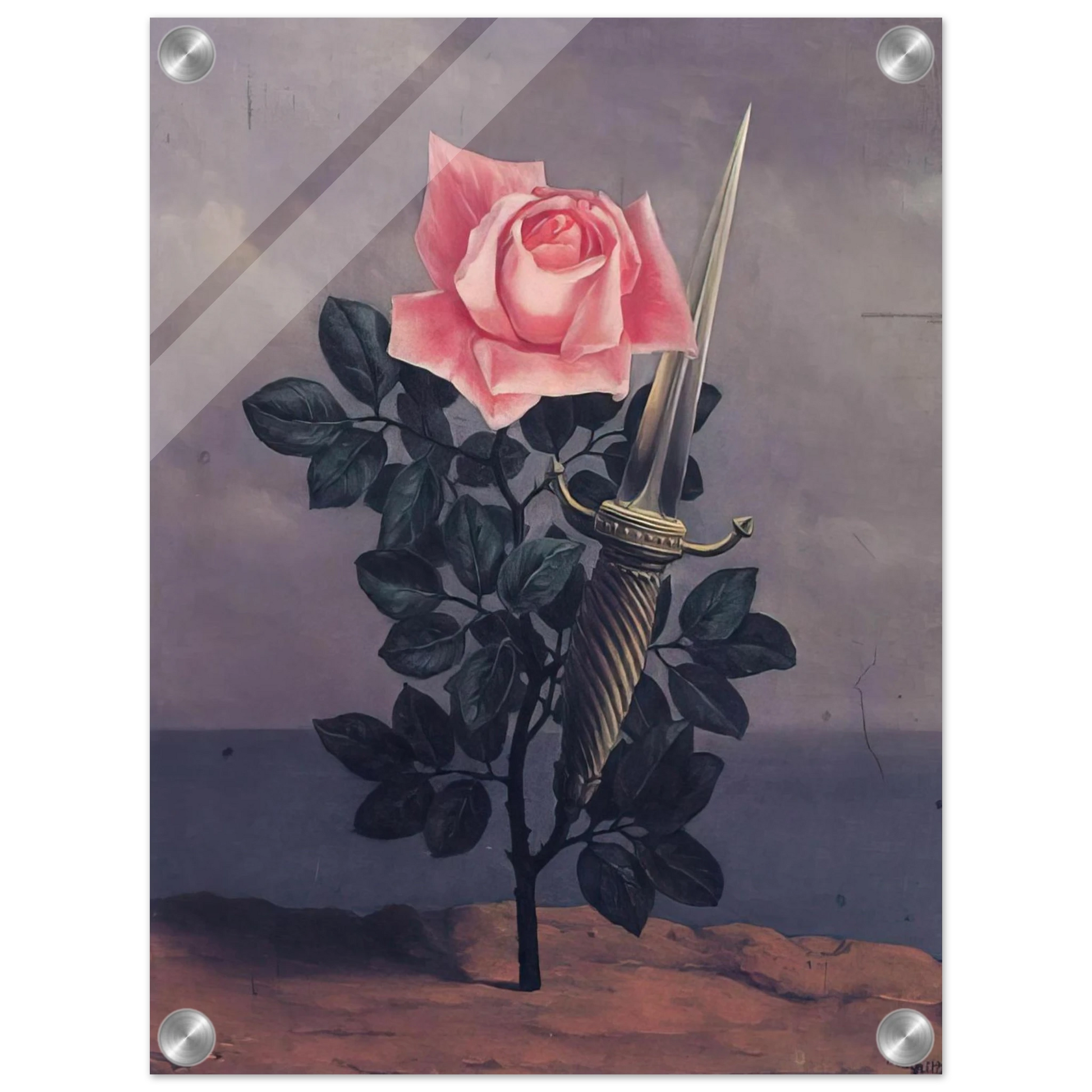 d0902561-c50a-4e43-986a-d420ab0d1d84