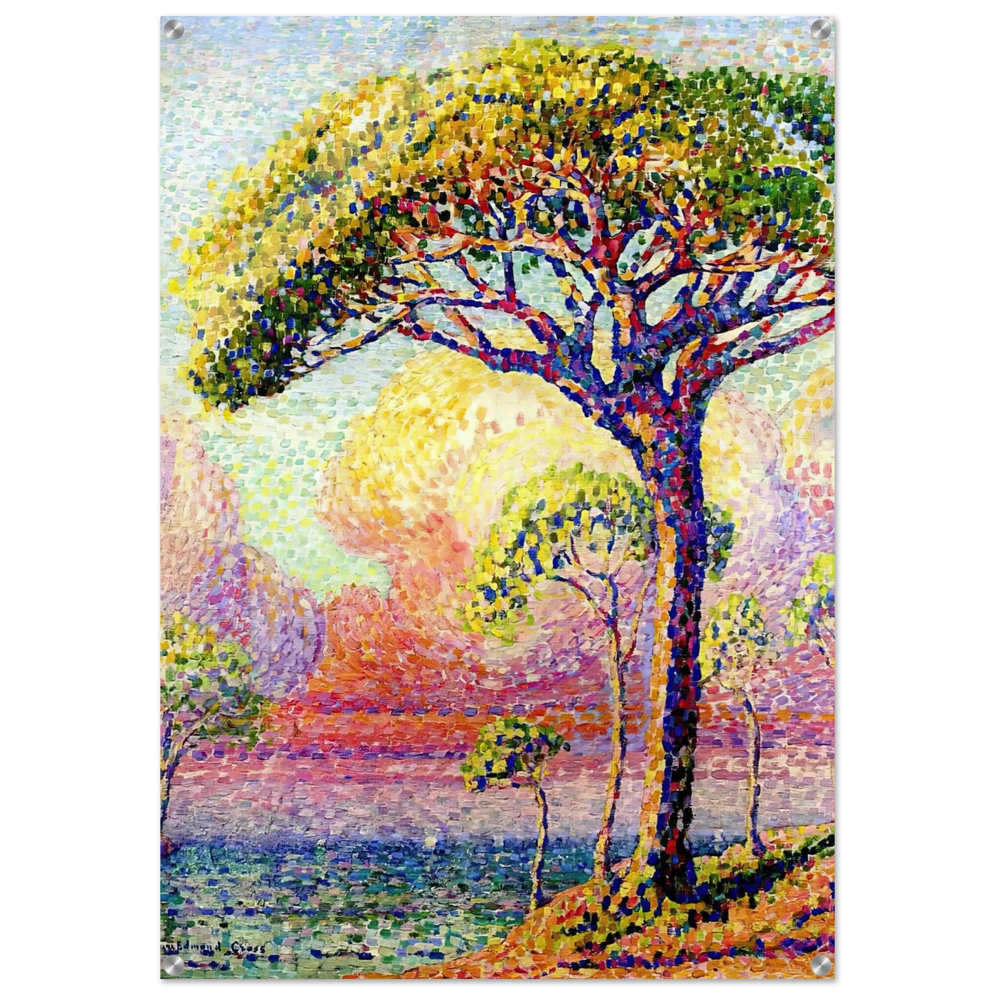 d0bc3728-1f11-4eaa-b59b-88c97f44a35a