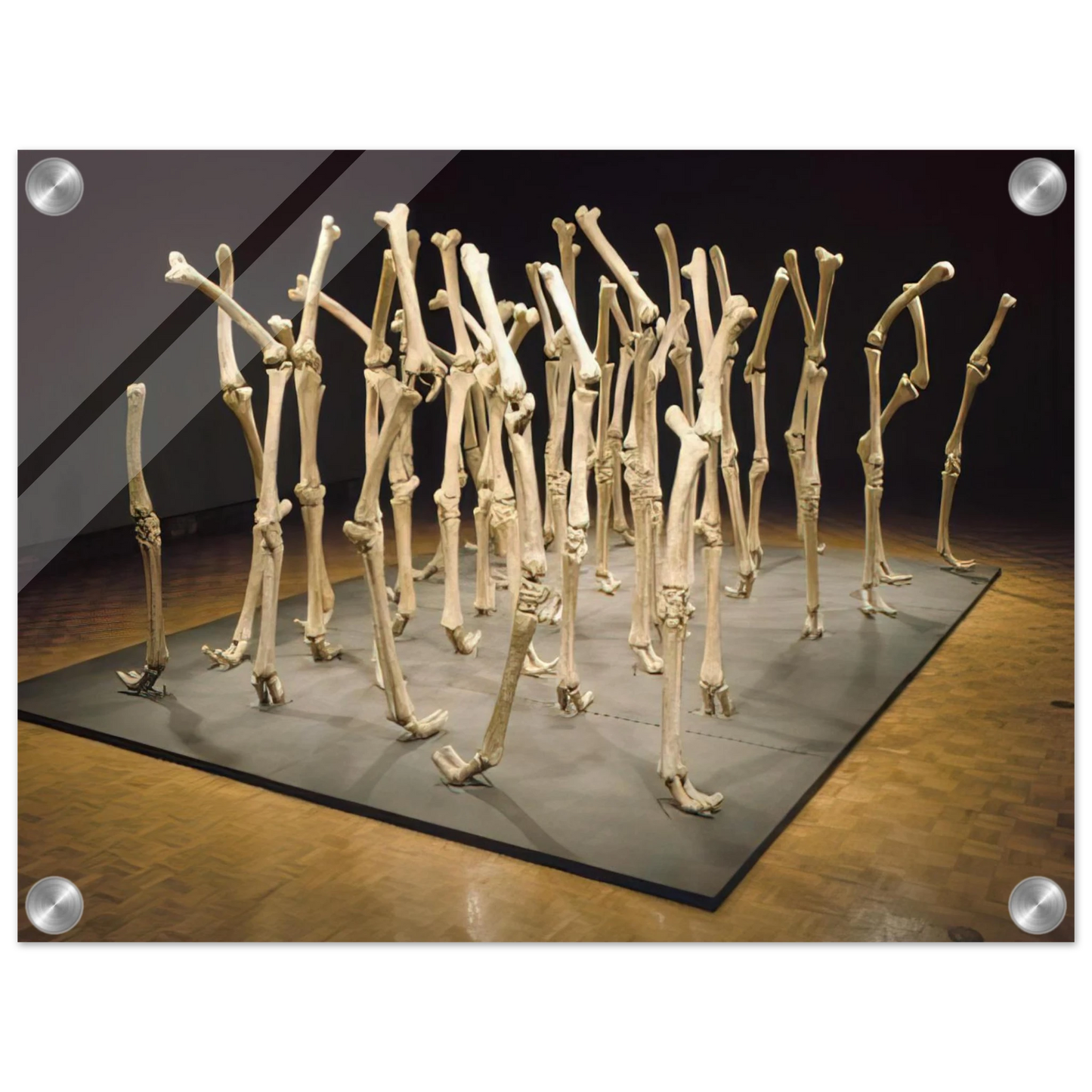 d1af9aa0-986b-4907-88dc-682ad79e3969