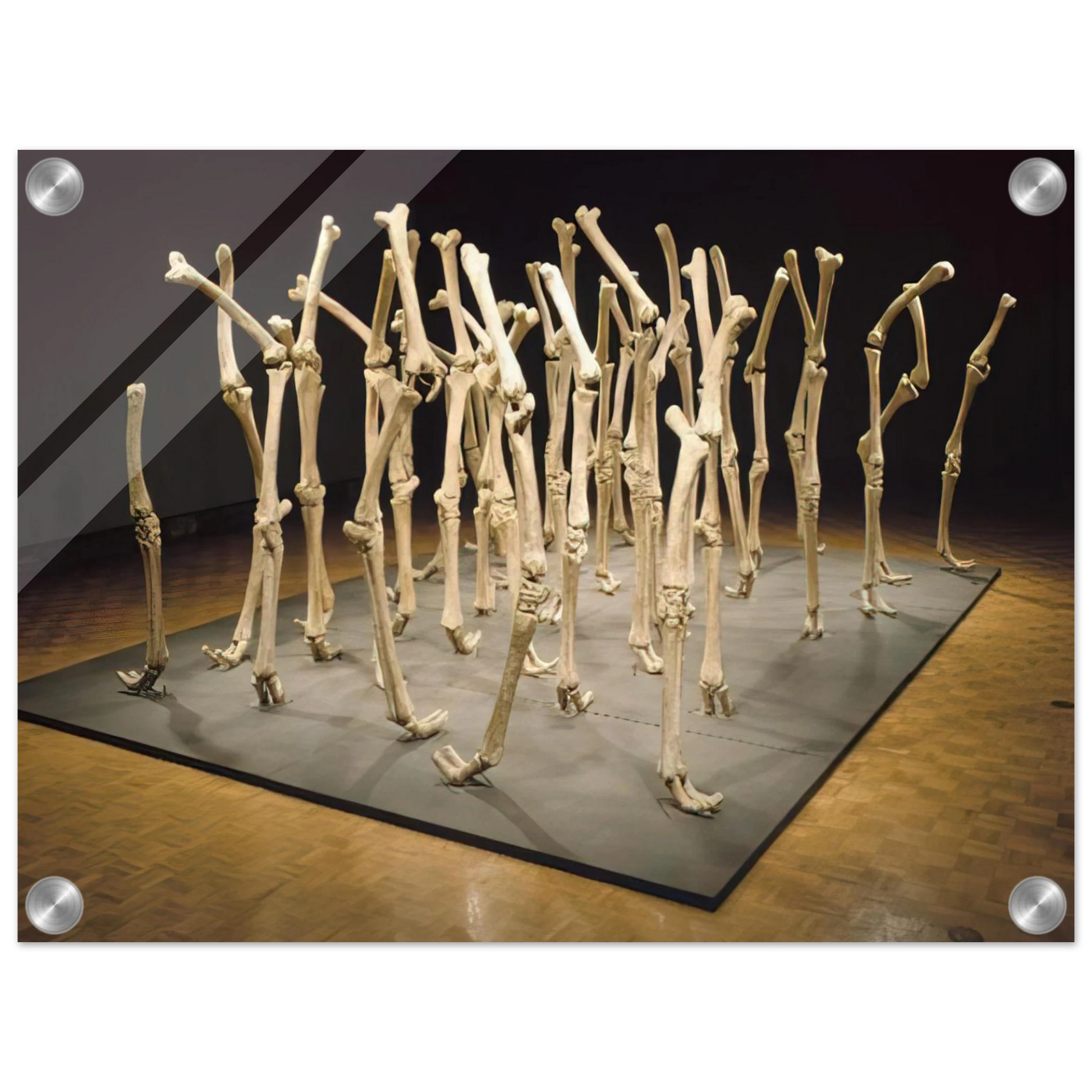 d1af9aa0-986b-4907-88dc-682ad79e3969