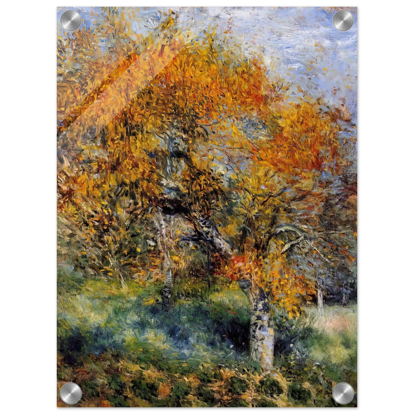 d24204c9-4a77-4c01-88df-f3b9c5d29bbb