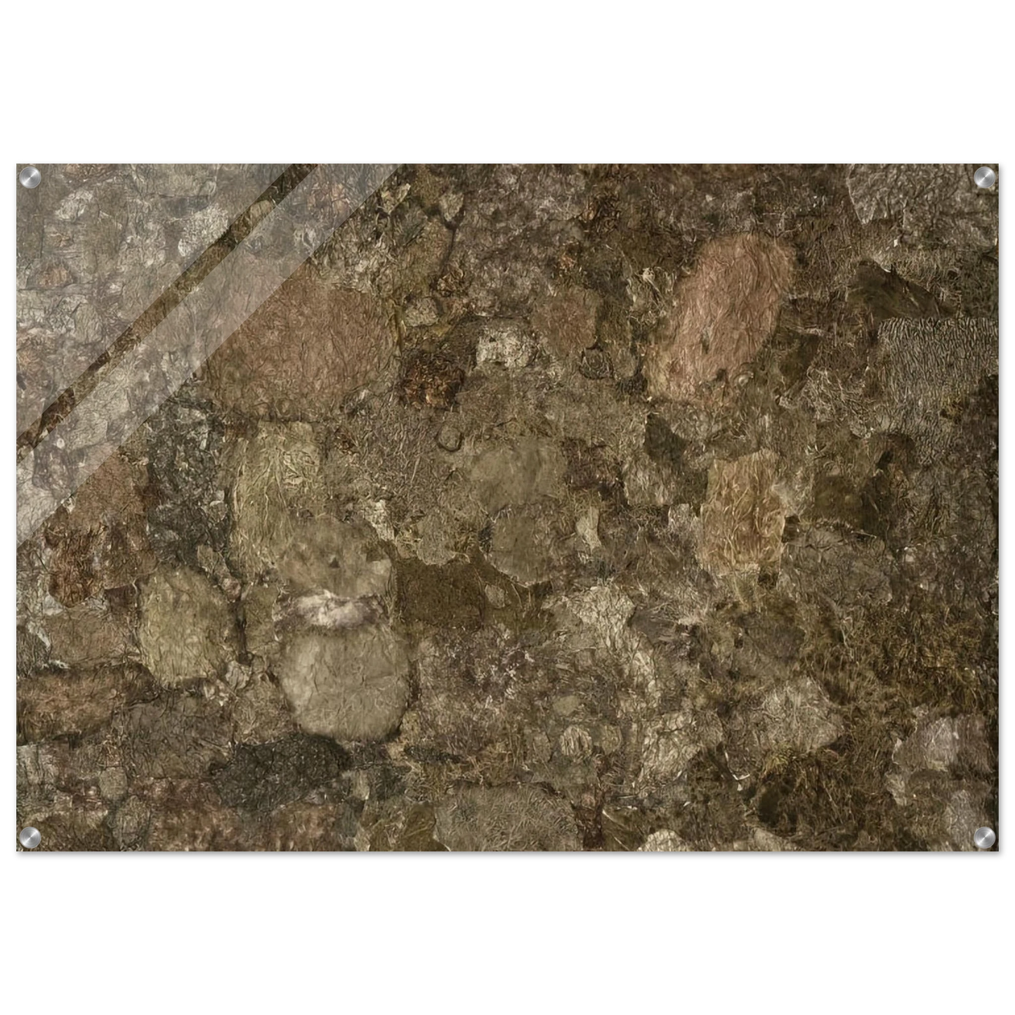 d26fb776-eb51-4b6a-9a3b-26fa296a1b67