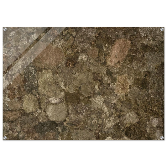 d26fb776-eb51-4b6a-9a3b-26fa296a1b67