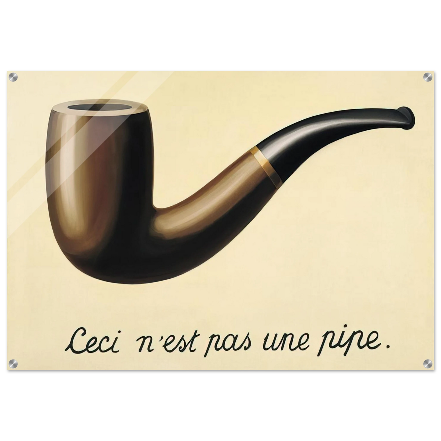 d317495a-7baa-4b6f-aa96-999a7656fe85