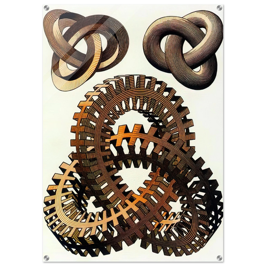 d33a1efa-33c5-46df-a407-69209d05c79a