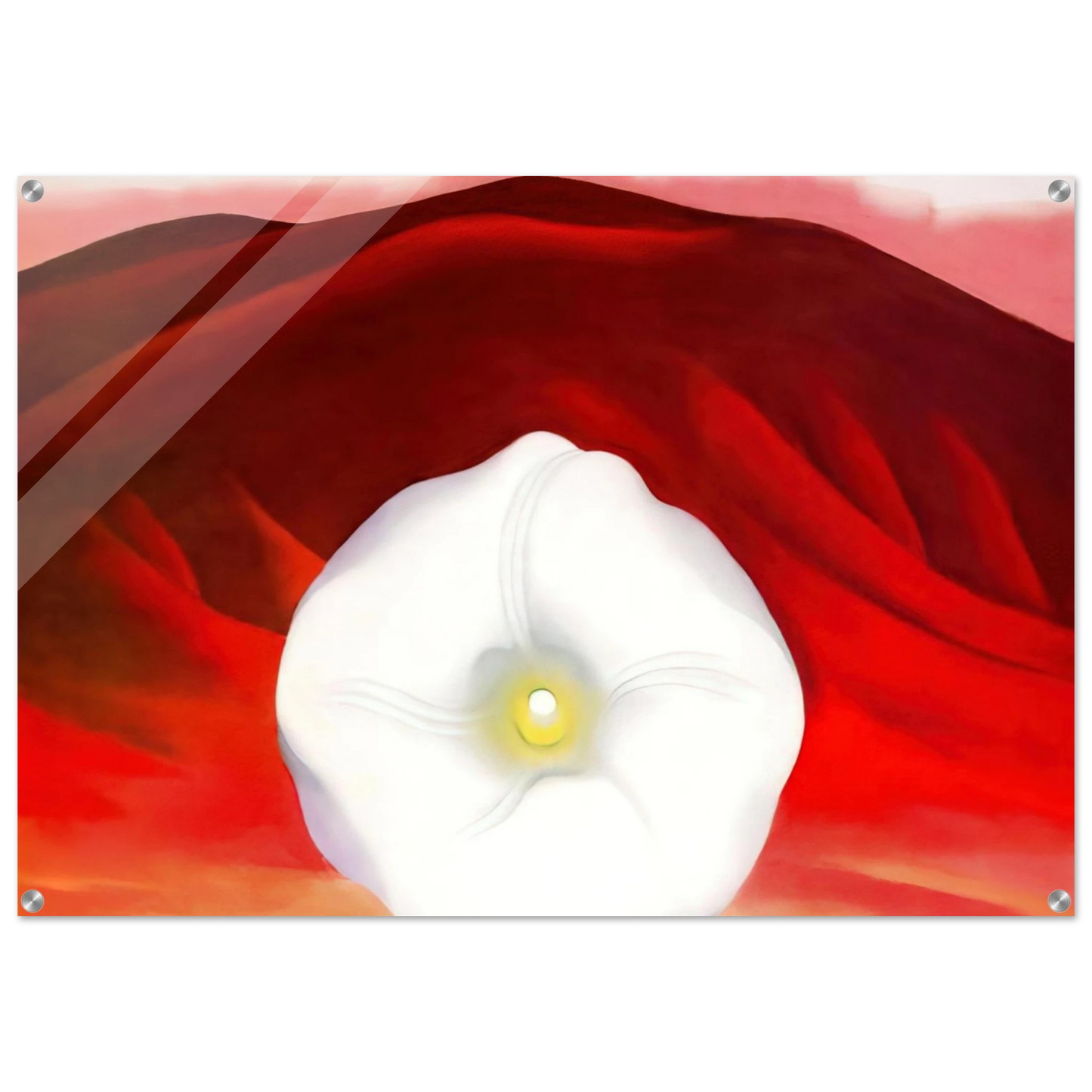 d39a7a41-3322-482d-87f2-2f10d73f39d4