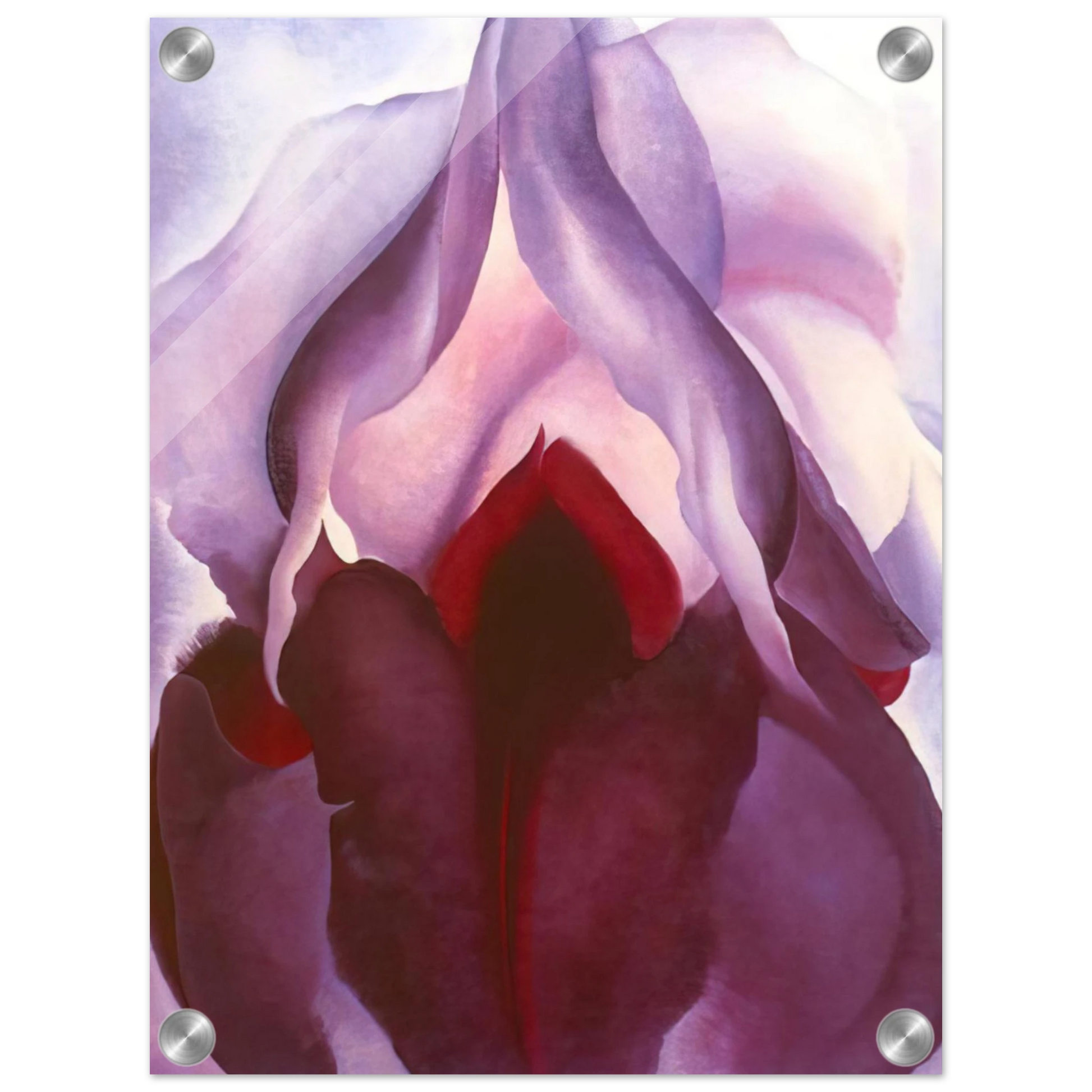 d3f2cae2-7bc2-4f72-8737-4503d03e5907