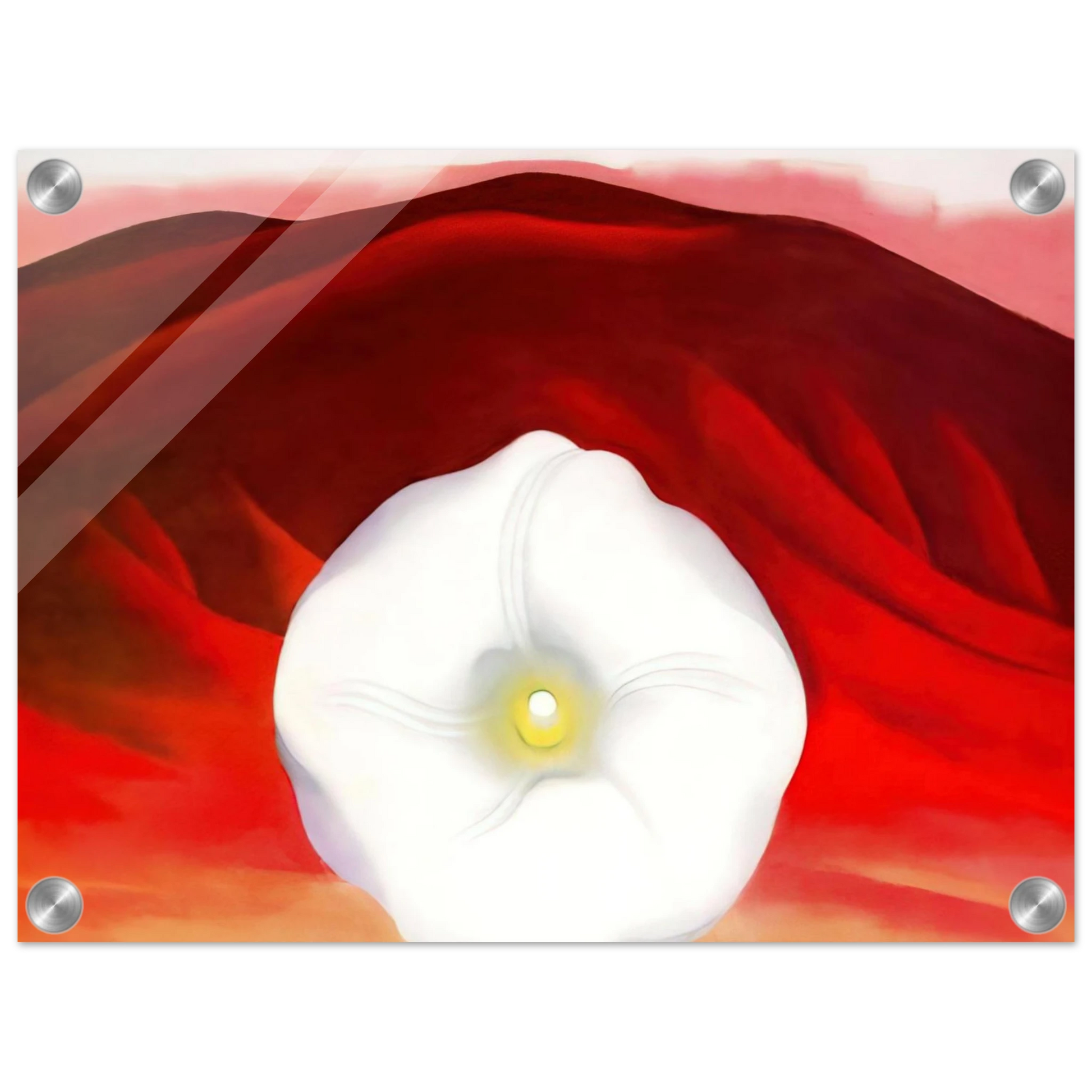 d55b697a-6495-467f-afcc-b6ebcdc0f0e3