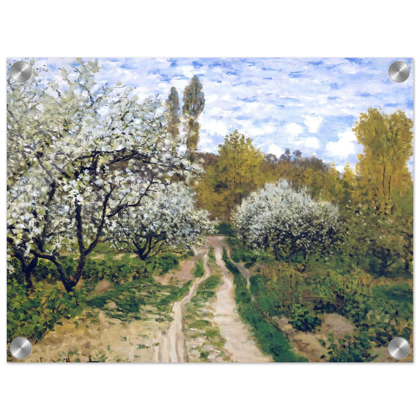 d5e4dc1f-c849-4e60-ba17-d2845f884e08