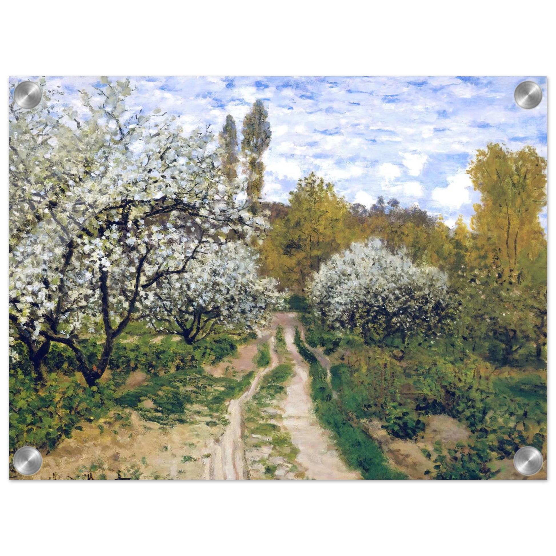 d5e4dc1f-c849-4e60-ba17-d2845f884e08