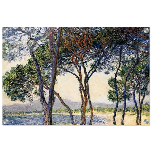 d6494296-843d-4249-95dd-2acd4fdf4512