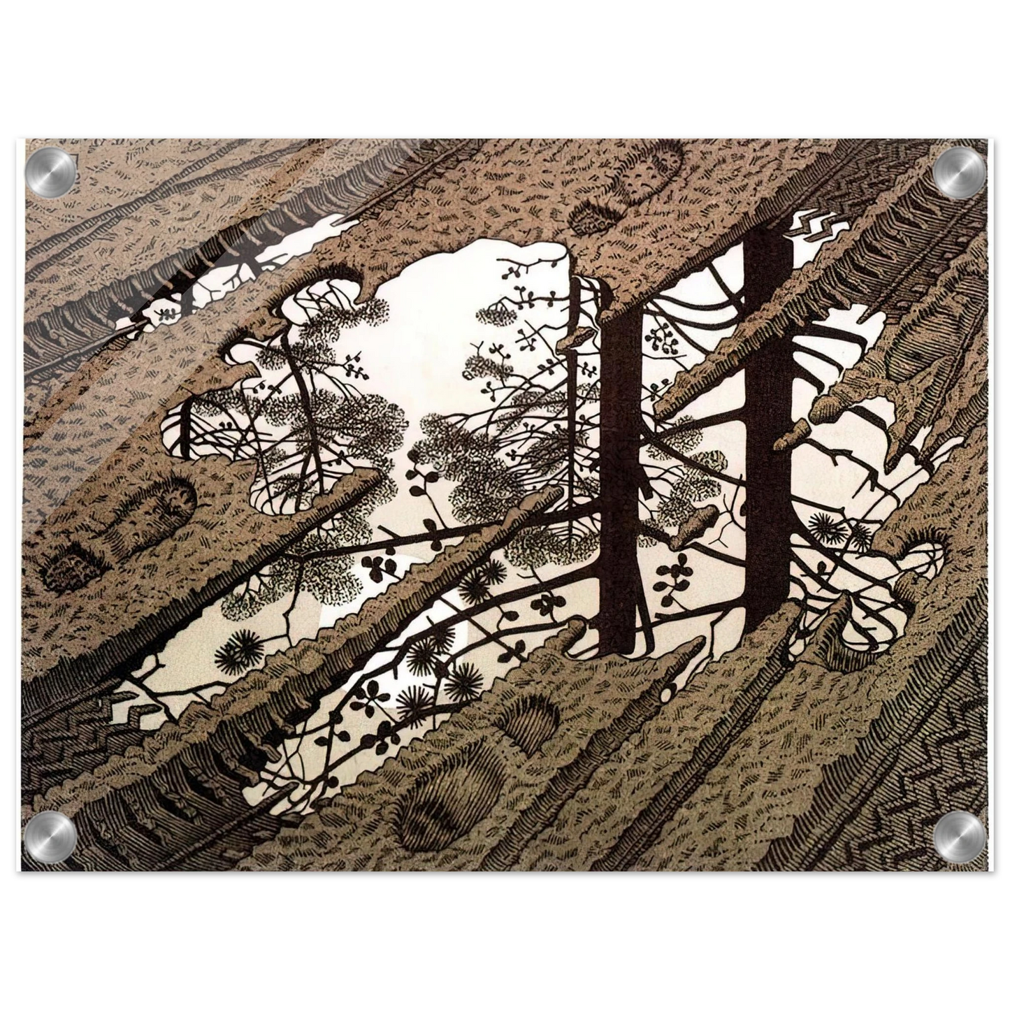 d6c3d066-6e5b-4455-b498-93c362cf4ef7