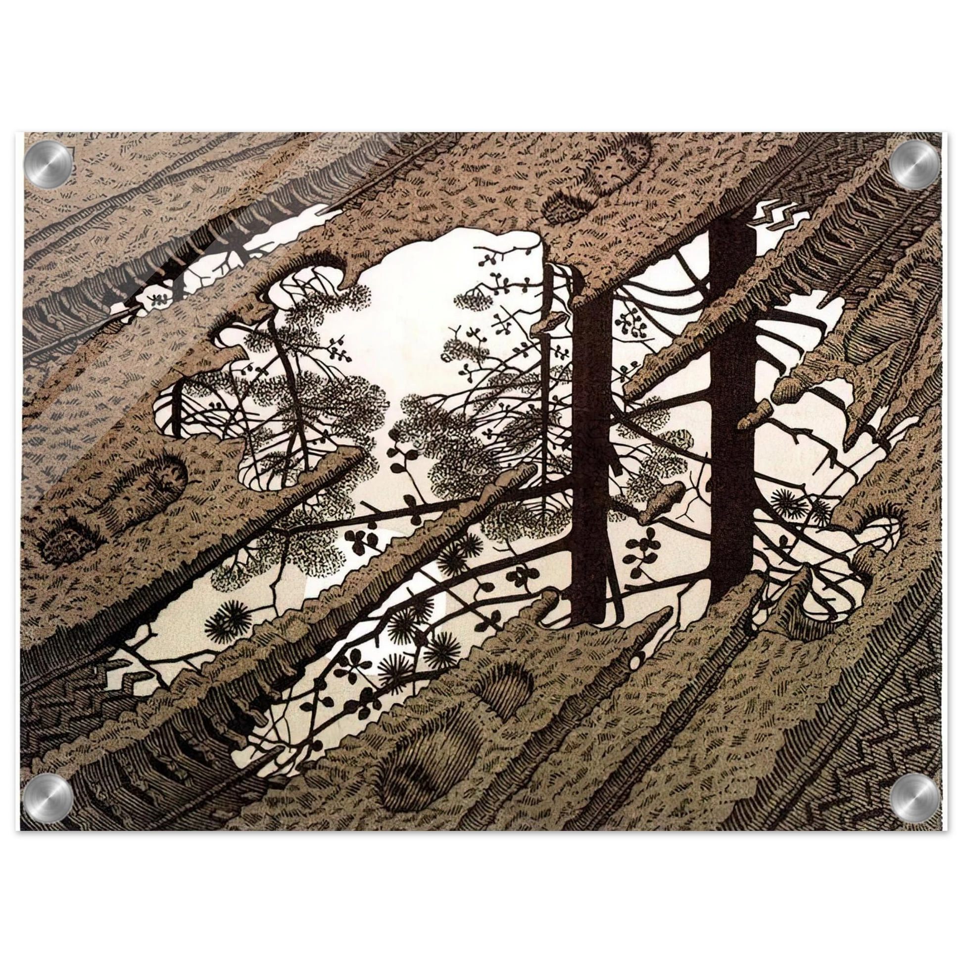 d6c3d066-6e5b-4455-b498-93c362cf4ef7