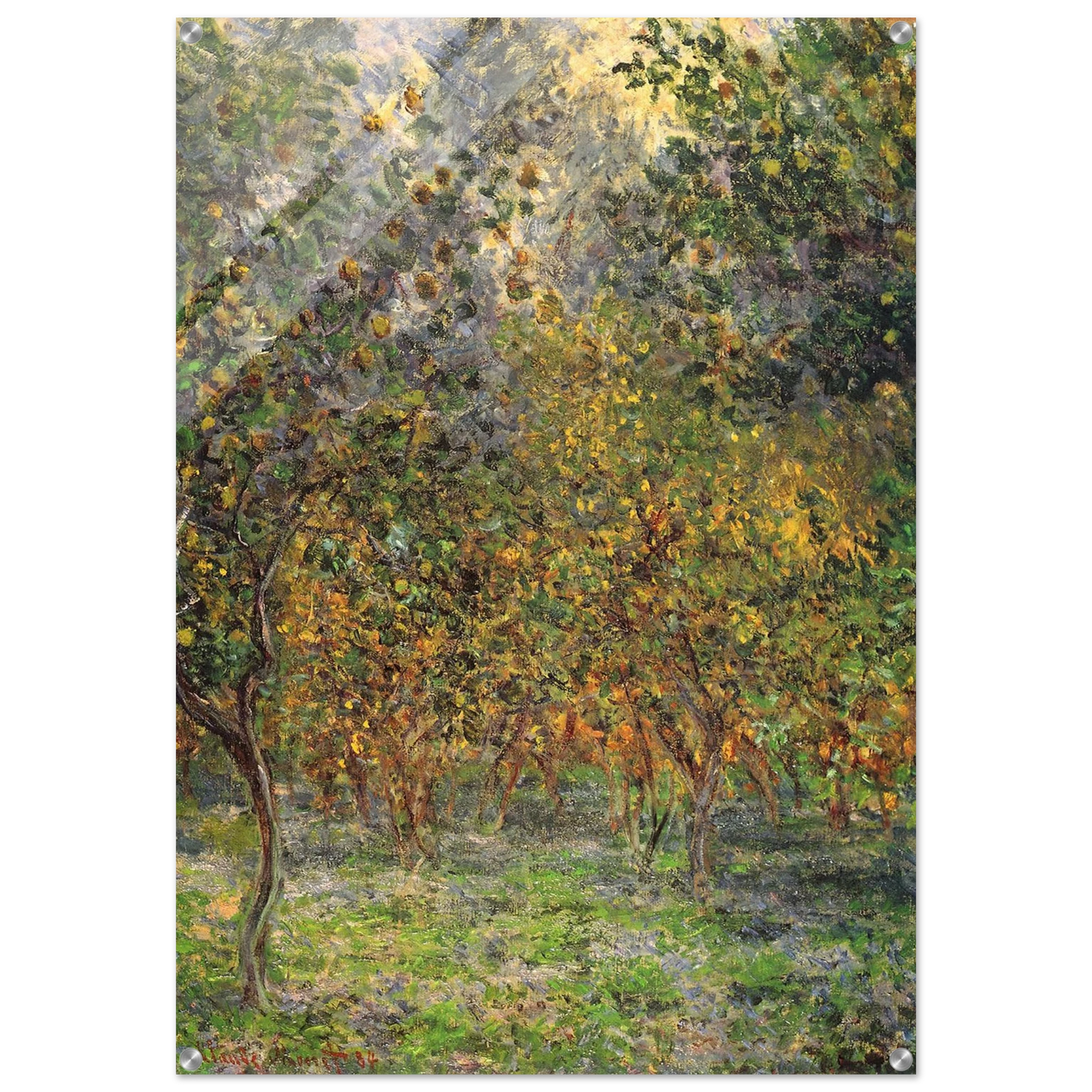 d6f48fd9-6c43-43a6-a97c-9de7307450d8