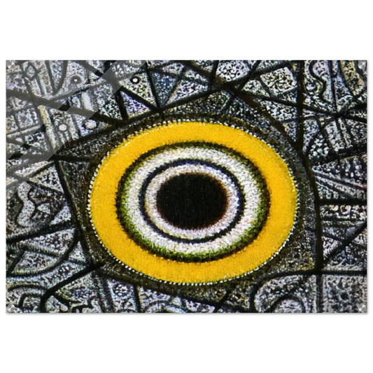 d7eca026-f7a1-4ee8-8810-32178e4271b2