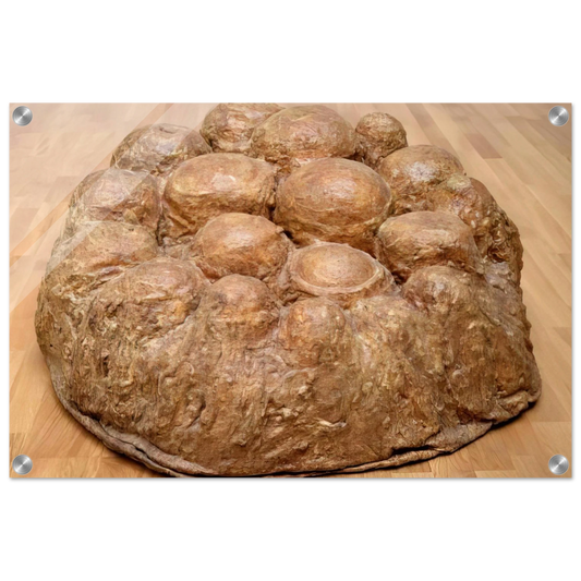 d86d0e3d-8d29-4546-afb0-da20df30e2c7