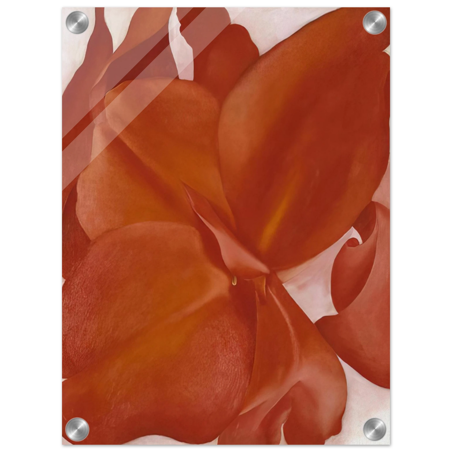 d920c4cf-c09a-4170-b12a-39c6e84dc749