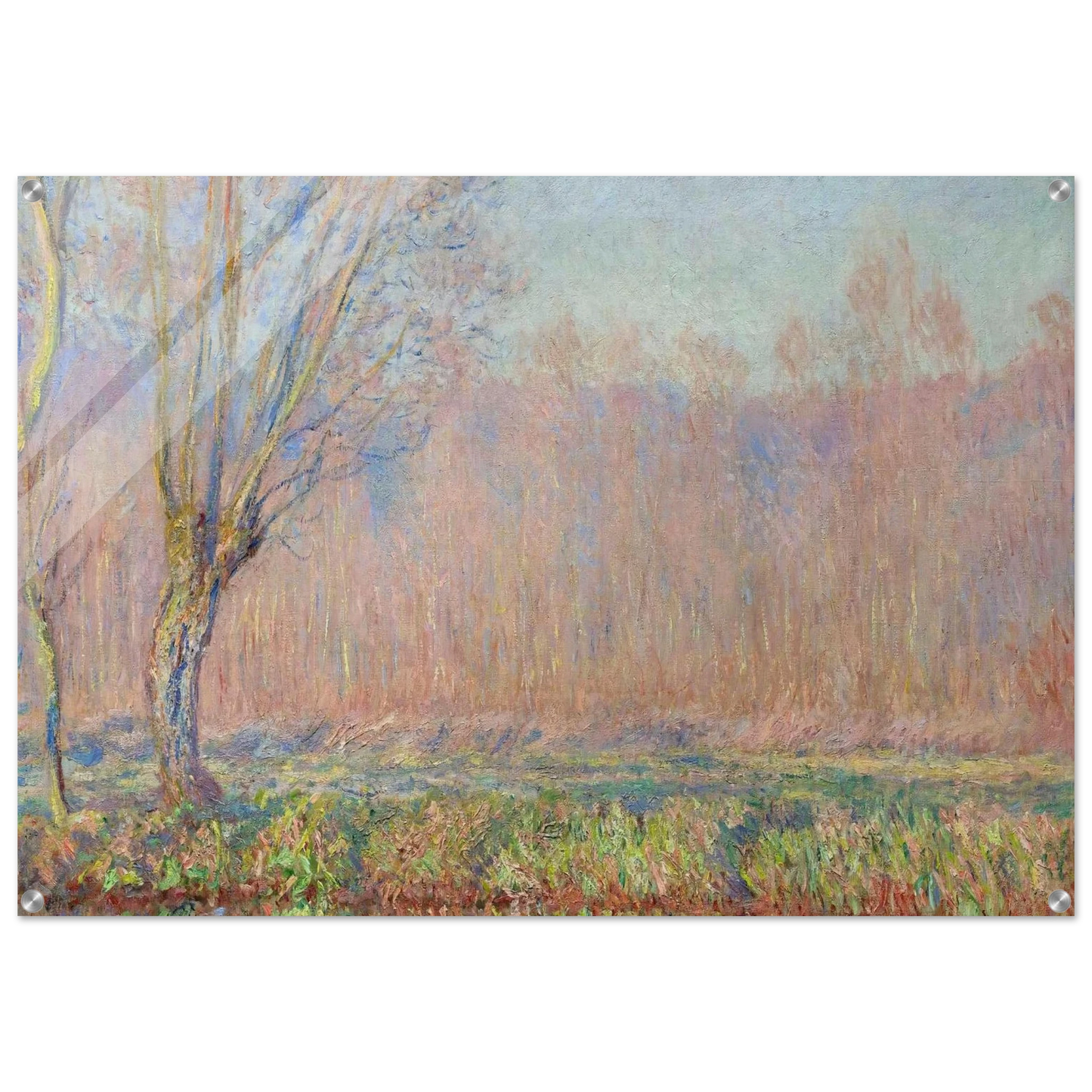 d9b0c2d0-12cf-4c87-bd53-2294d9e8241a