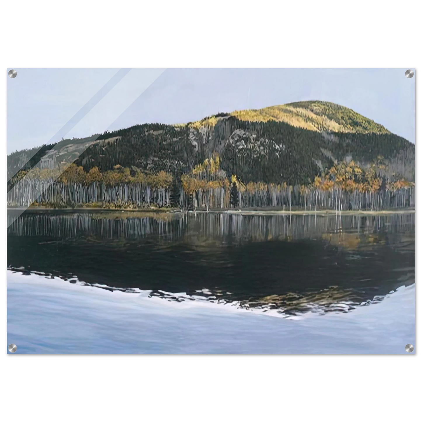 db48f075-4f0c-4396-ab5b-201d76f045de