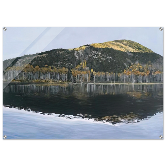 db48f075-4f0c-4396-ab5b-201d76f045de