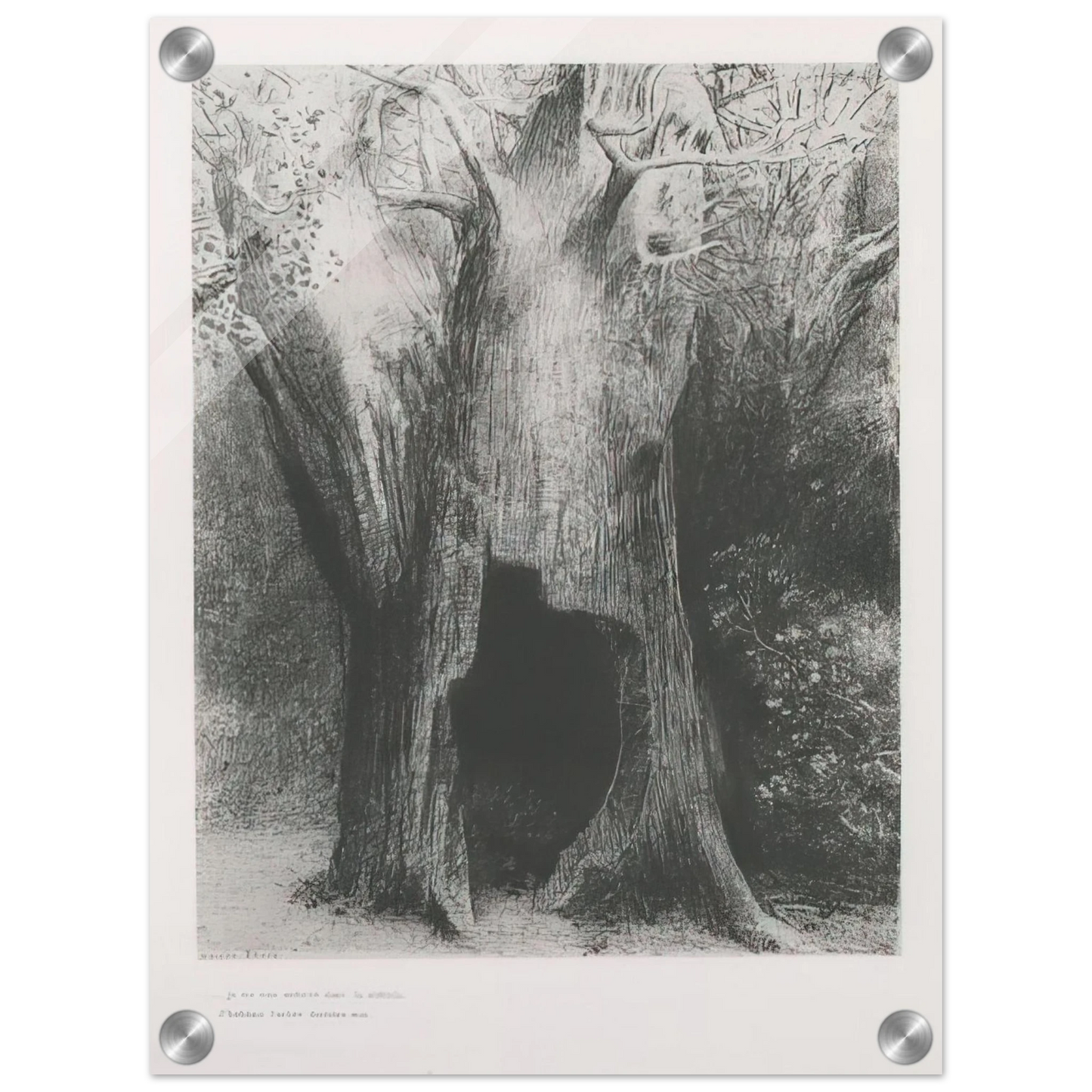 db8997e8-79ae-4702-80cb-ac7fcc824376