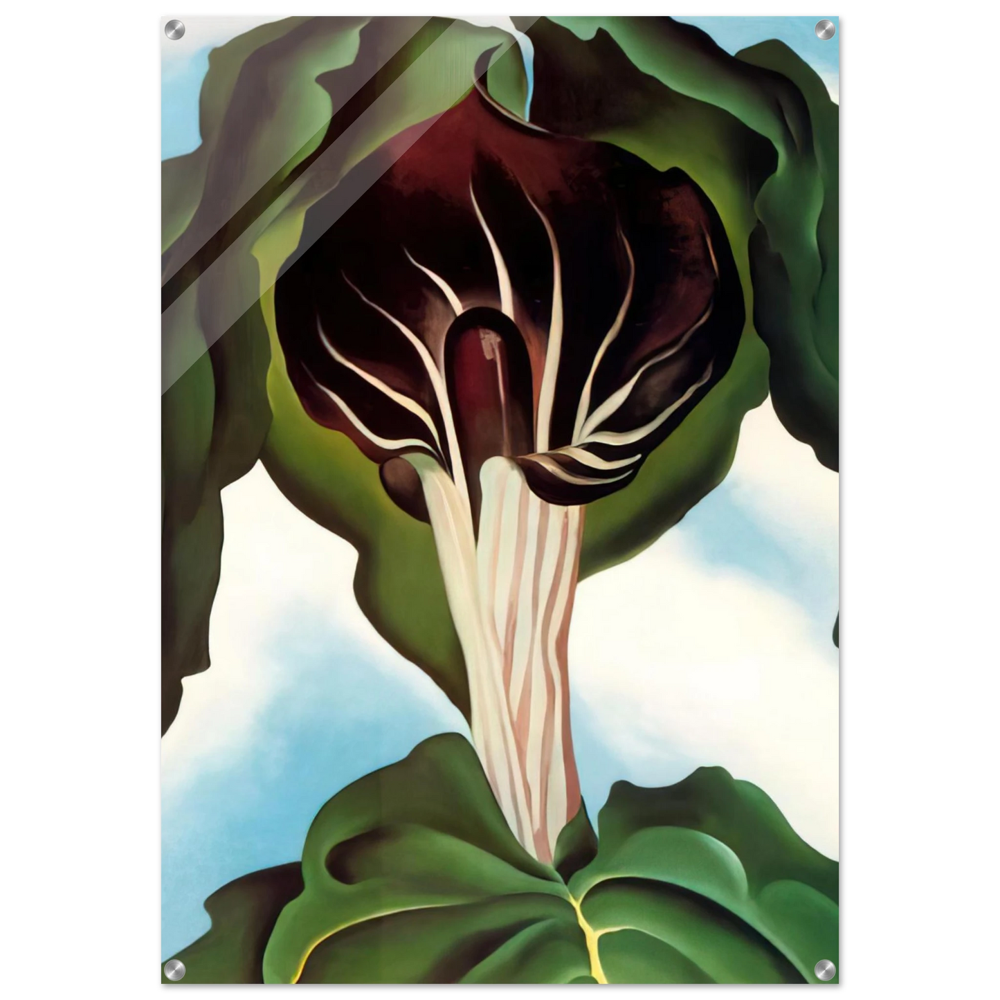 dc7aed7c-f10a-428c-9d8f-dd9307453717