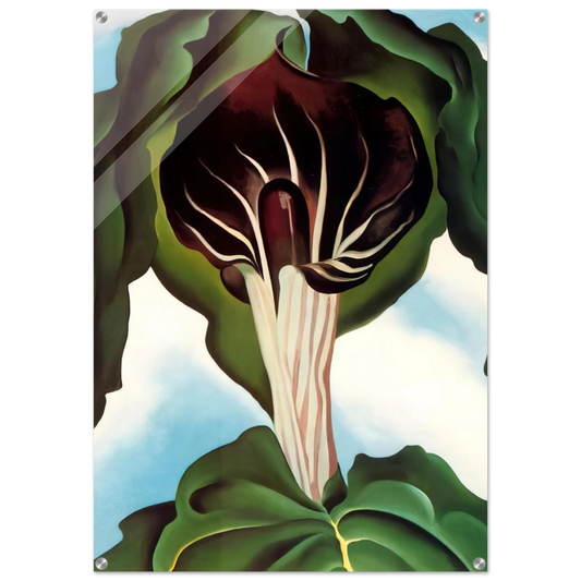 dc7aed7c-f10a-428c-9d8f-dd9307453717