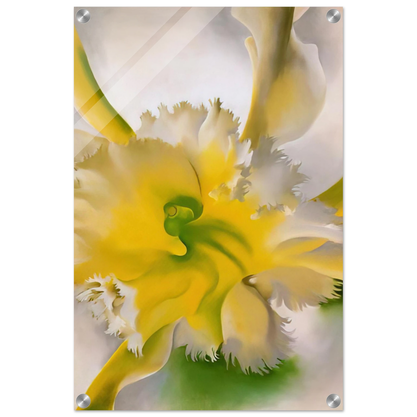 dd191aa5-7f10-4cd1-a893-3d75d72de0e3