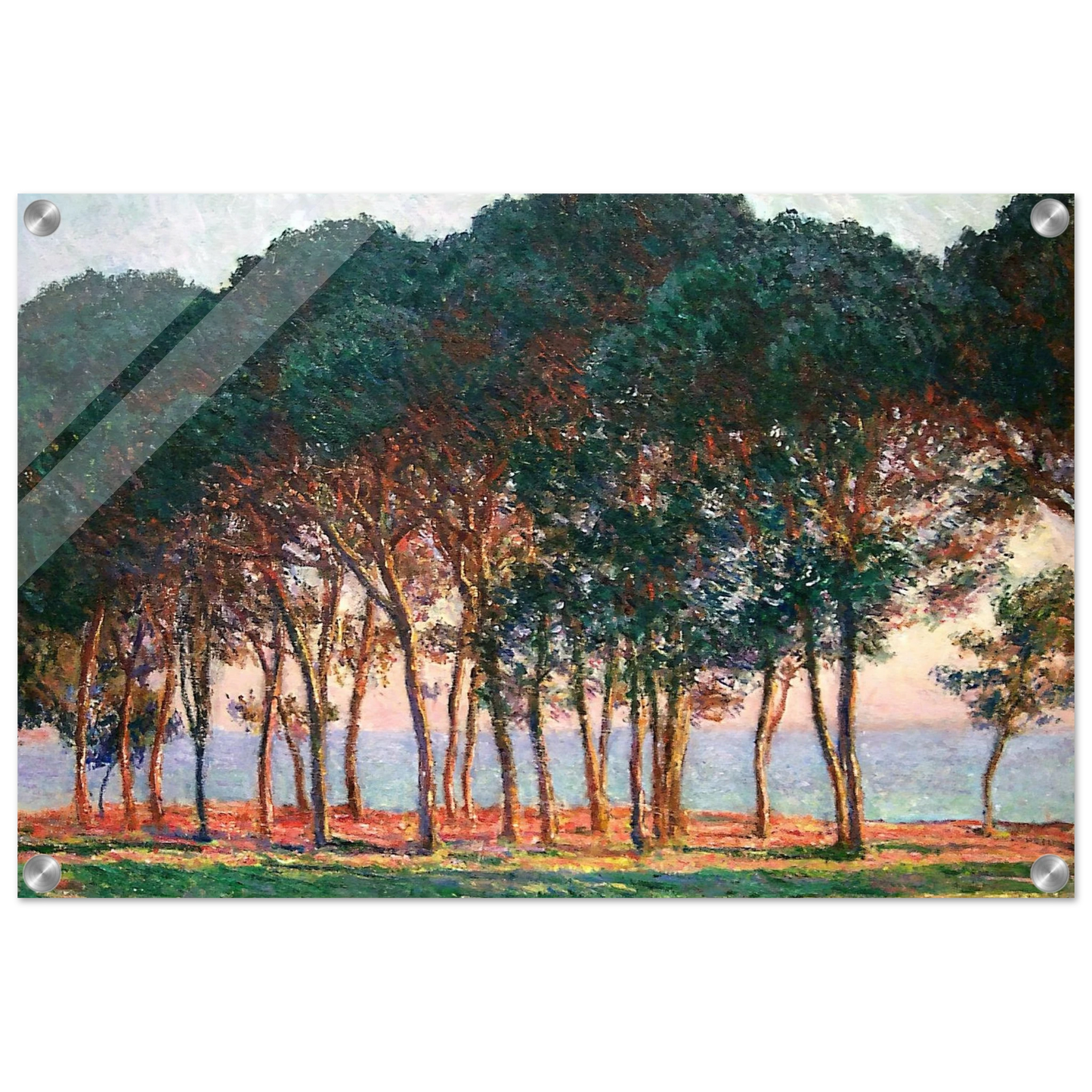 dd8171e8-760a-4517-9330-fe14231e90e5