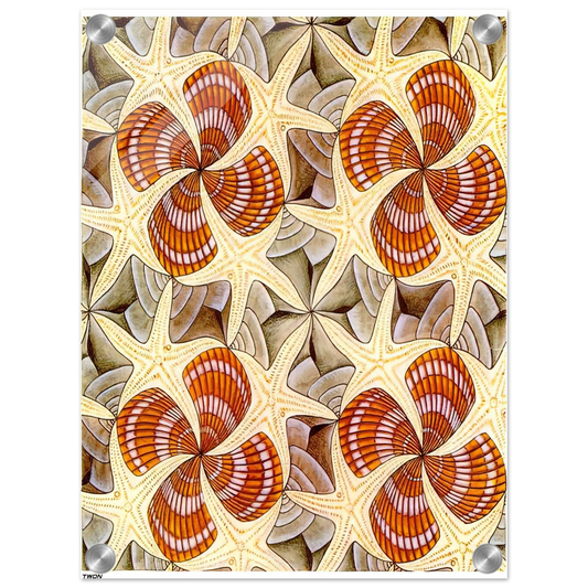 de89c88c-78a6-4fbb-8b60-84bcac0927fb