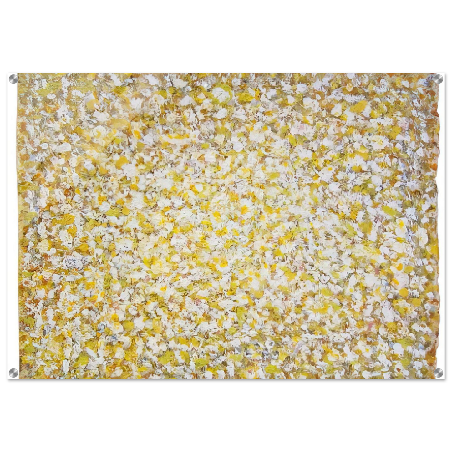 e089bdc8-086d-466c-bacd-c1964457a635