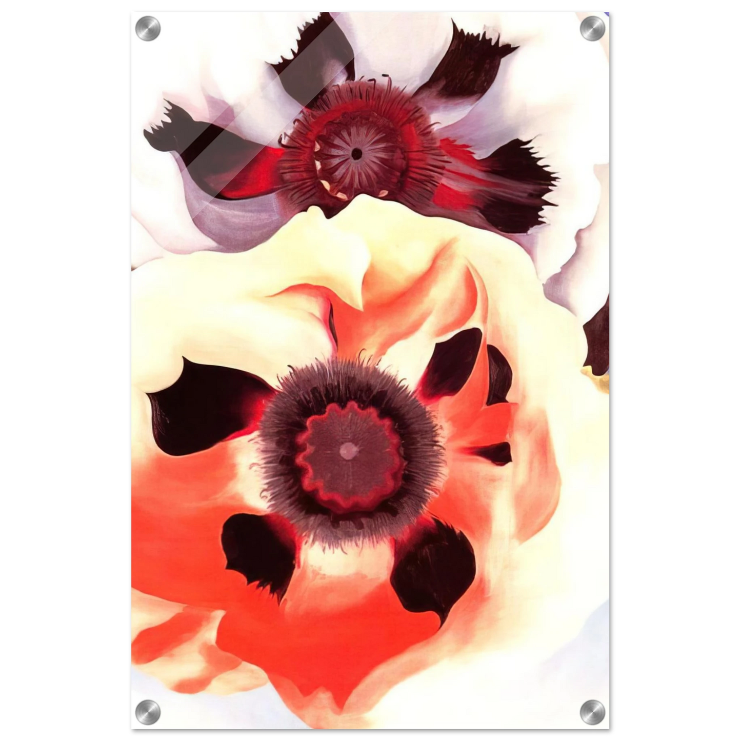 e1e8018c-6edd-4414-bc3d-df86c1666305