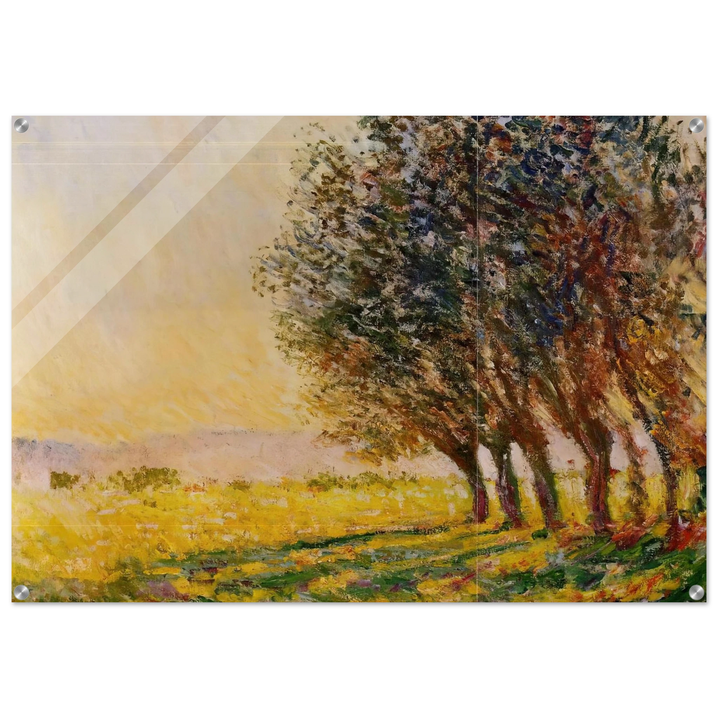 e2af89d4-f2c9-41fa-abca-dc8ac8b18f3b