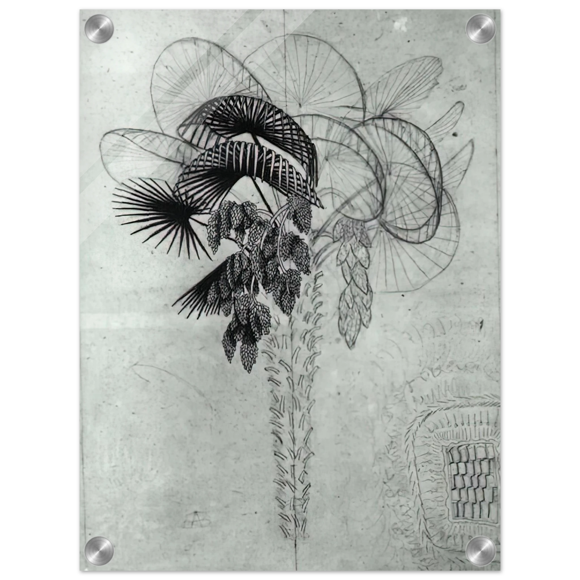 e4420913-88e9-4c3a-a4a8-d63d3fbaa442