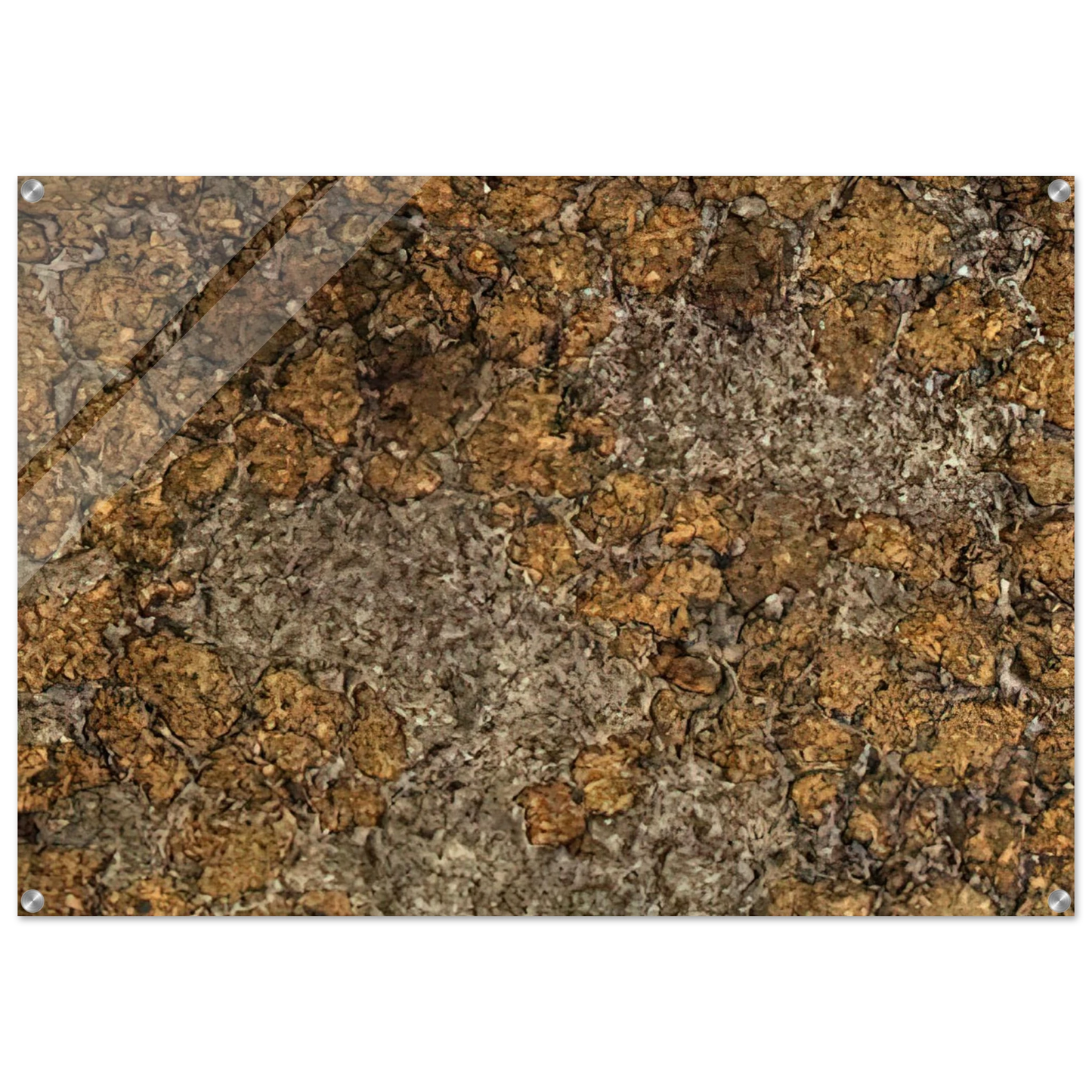 e6465db2-f889-4d14-acc6-e64a3f9bfd86