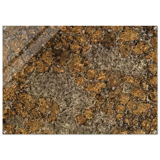 e6465db2-f889-4d14-acc6-e64a3f9bfd86