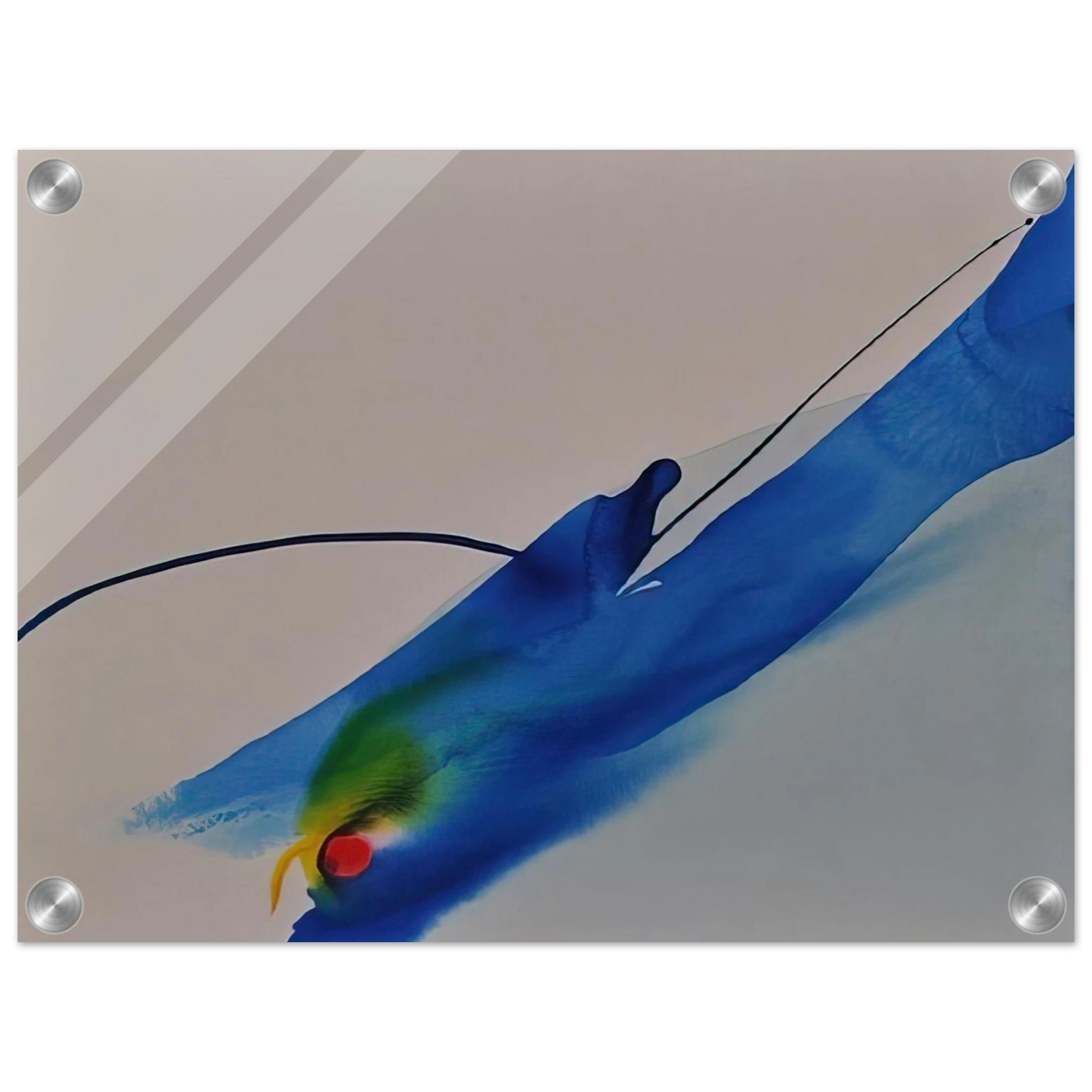 e6796b7e-6f6e-43f5-bc0b-8e531cf12e65