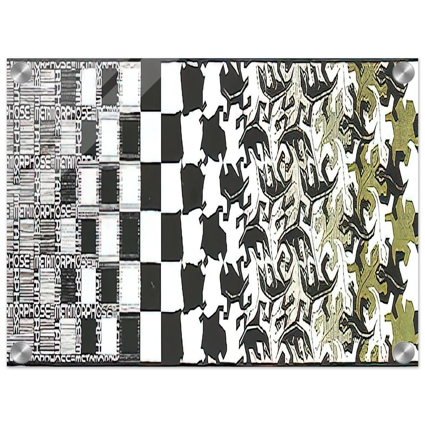 e69b780f-52db-4b79-b916-d7070cc7271b