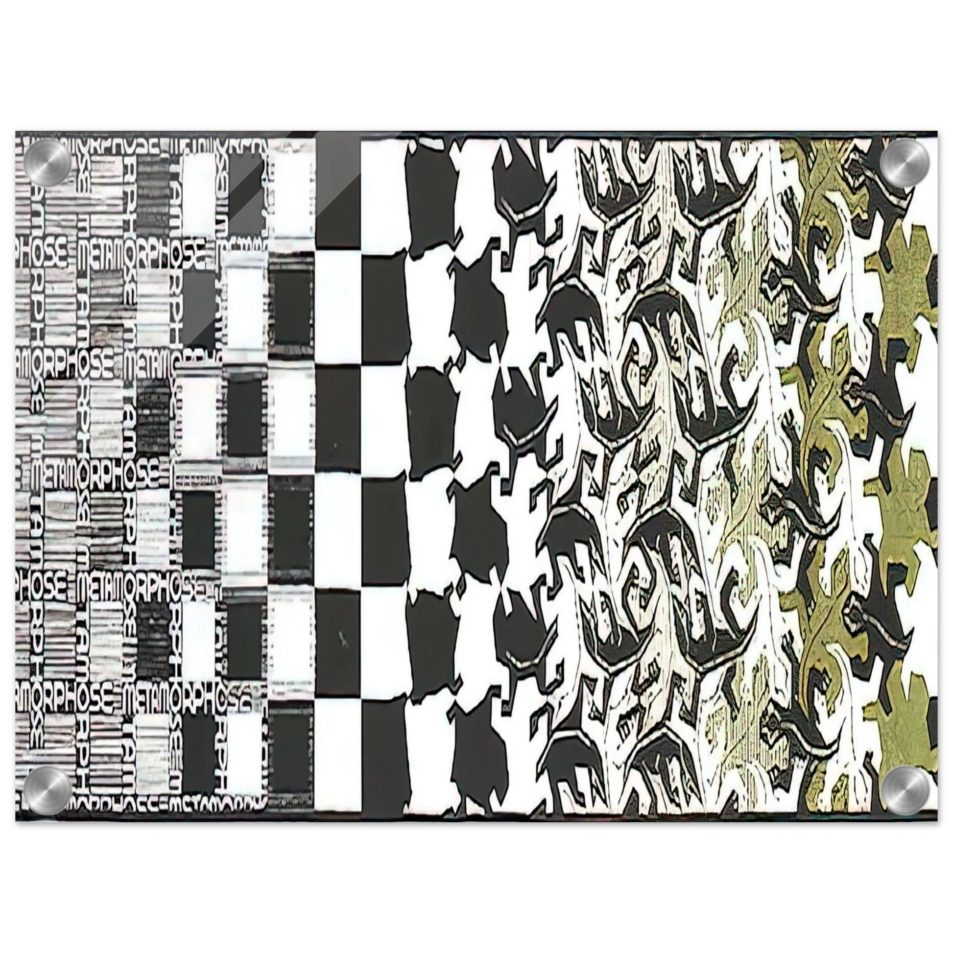 e69b780f-52db-4b79-b916-d7070cc7271b