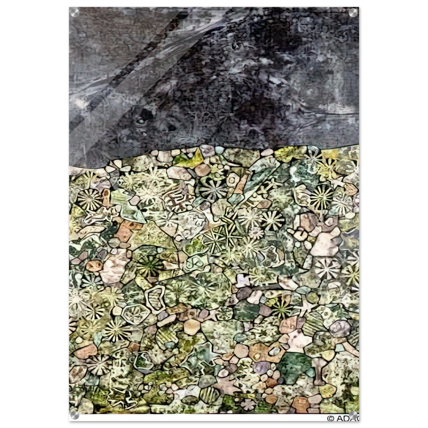 e7ae6fe4-0e2d-4975-a674-e57f813f856e