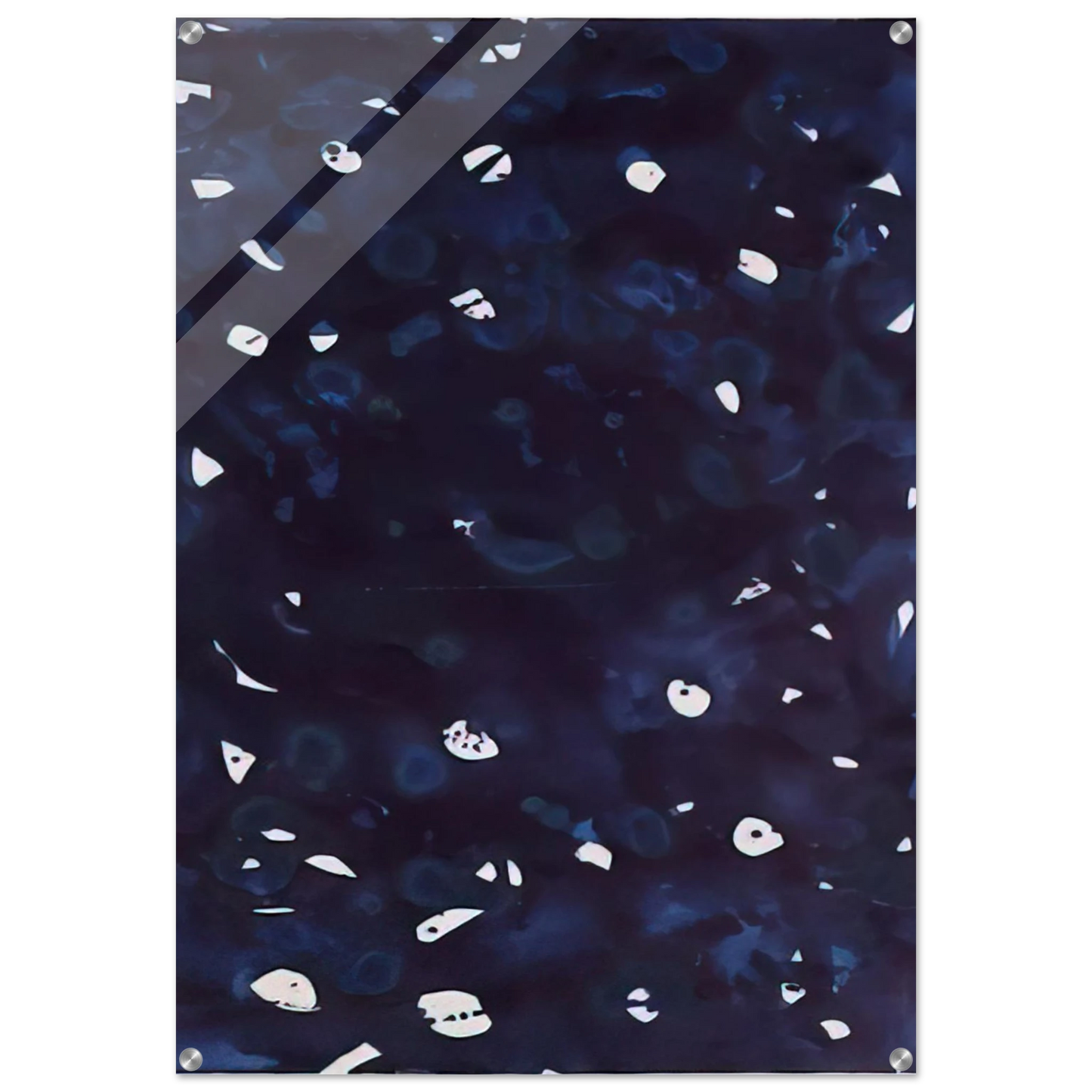 e855457d-28c8-4ba0-81a2-2cccbc83c9c9