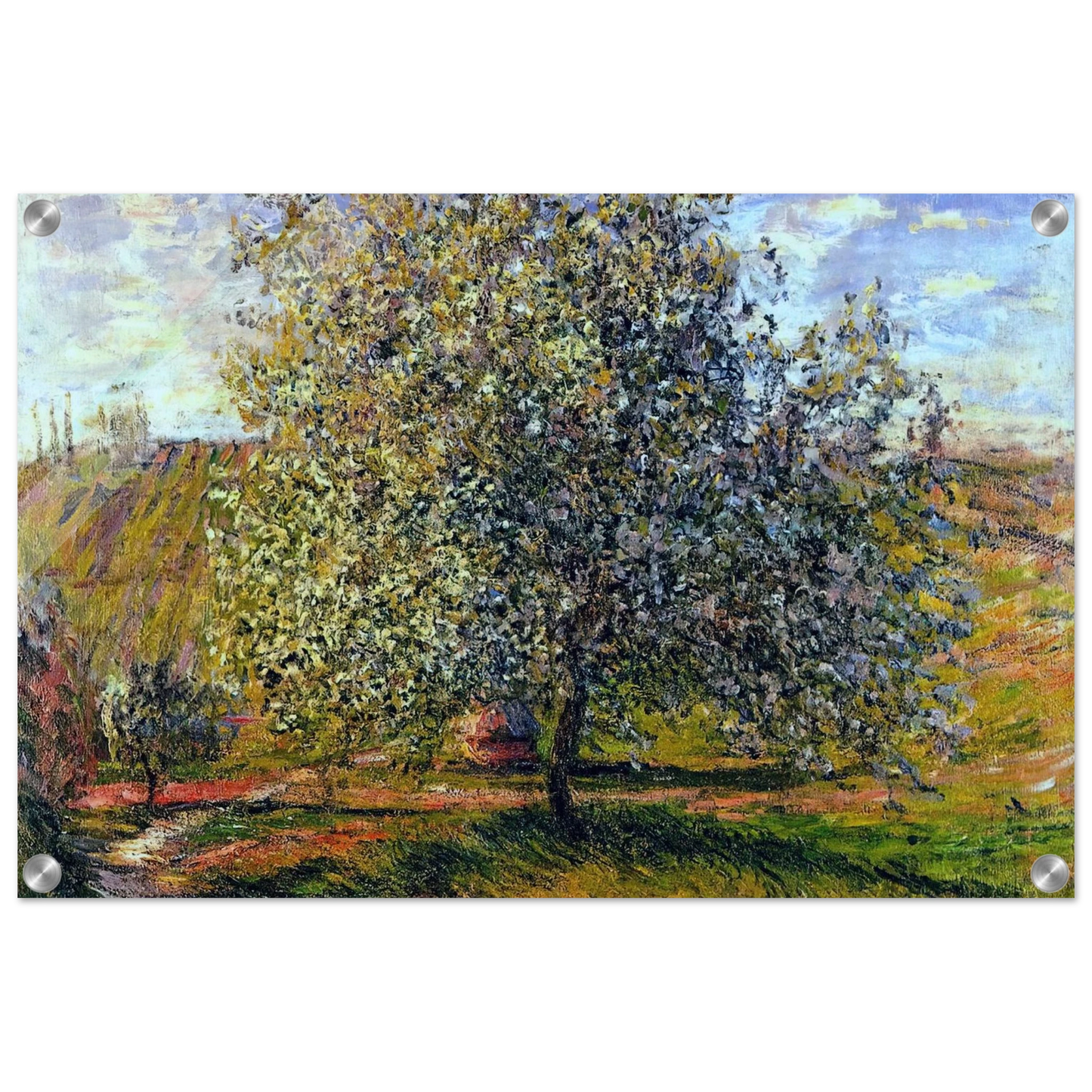 e86be49e-49f1-4e8e-b894-98307ce78e50