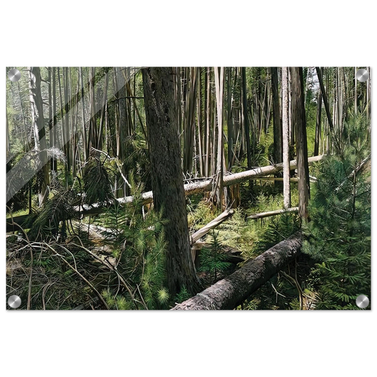 eae605a7-4583-4a8e-a52d-a36614203d82