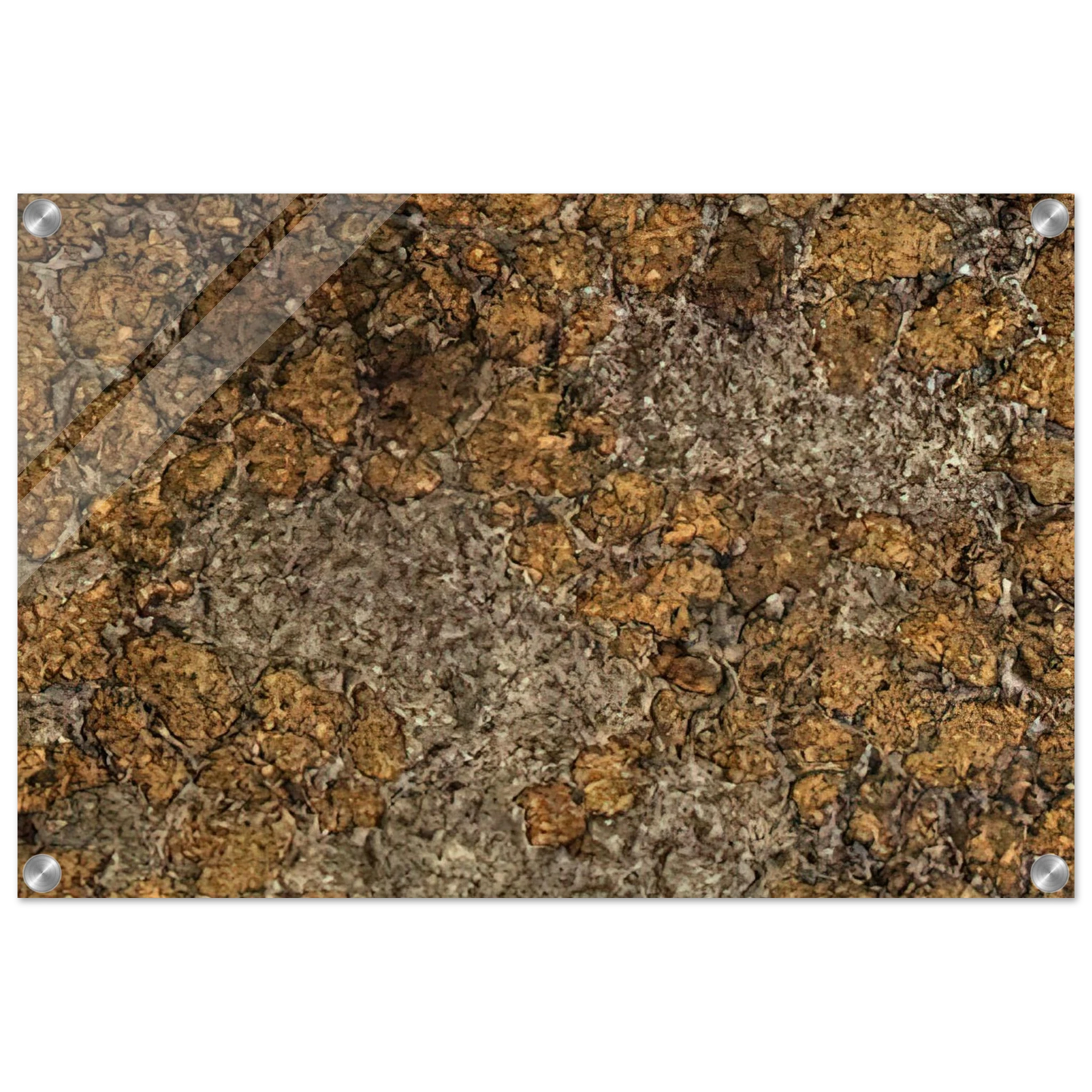 ecf14ca1-5d3e-490e-bb7c-5c1600f566ed