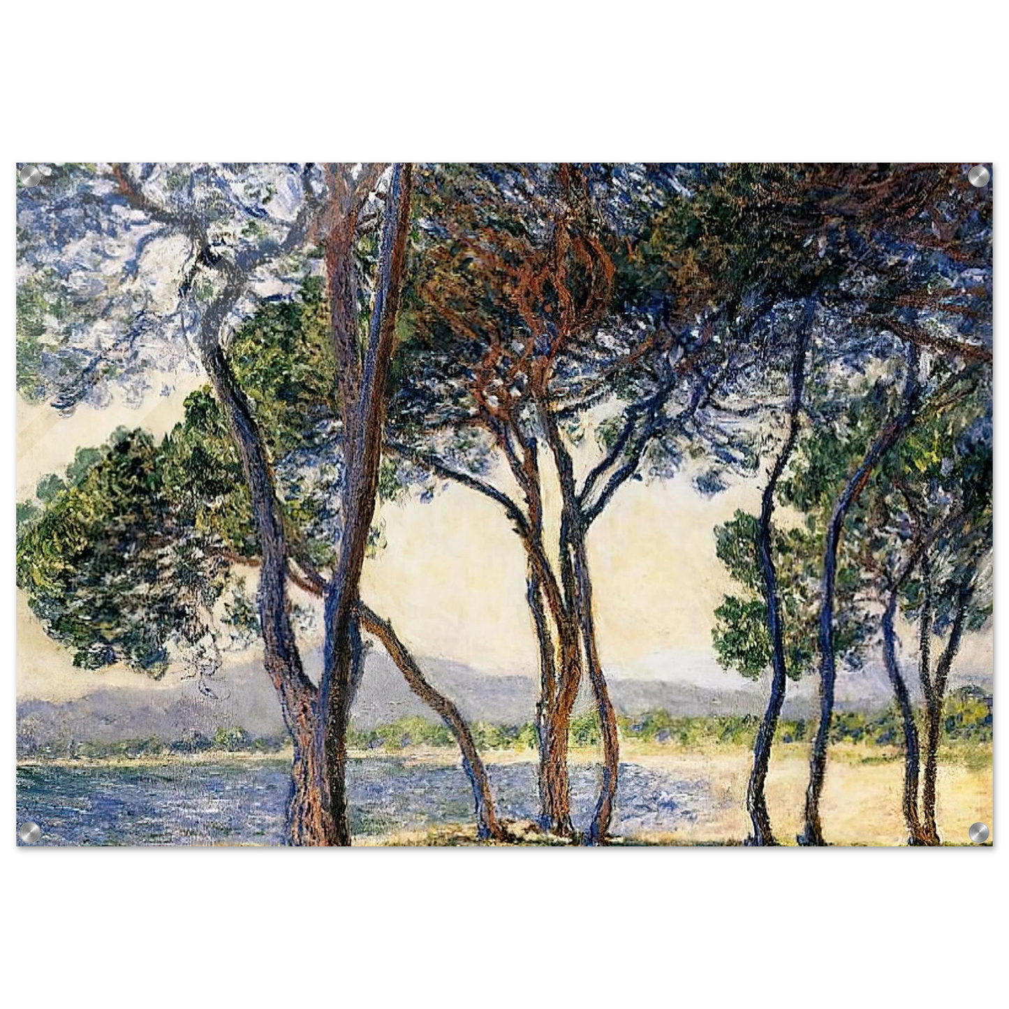 ee8b45eb-22e2-45b4-9c20-7ae302d94eea