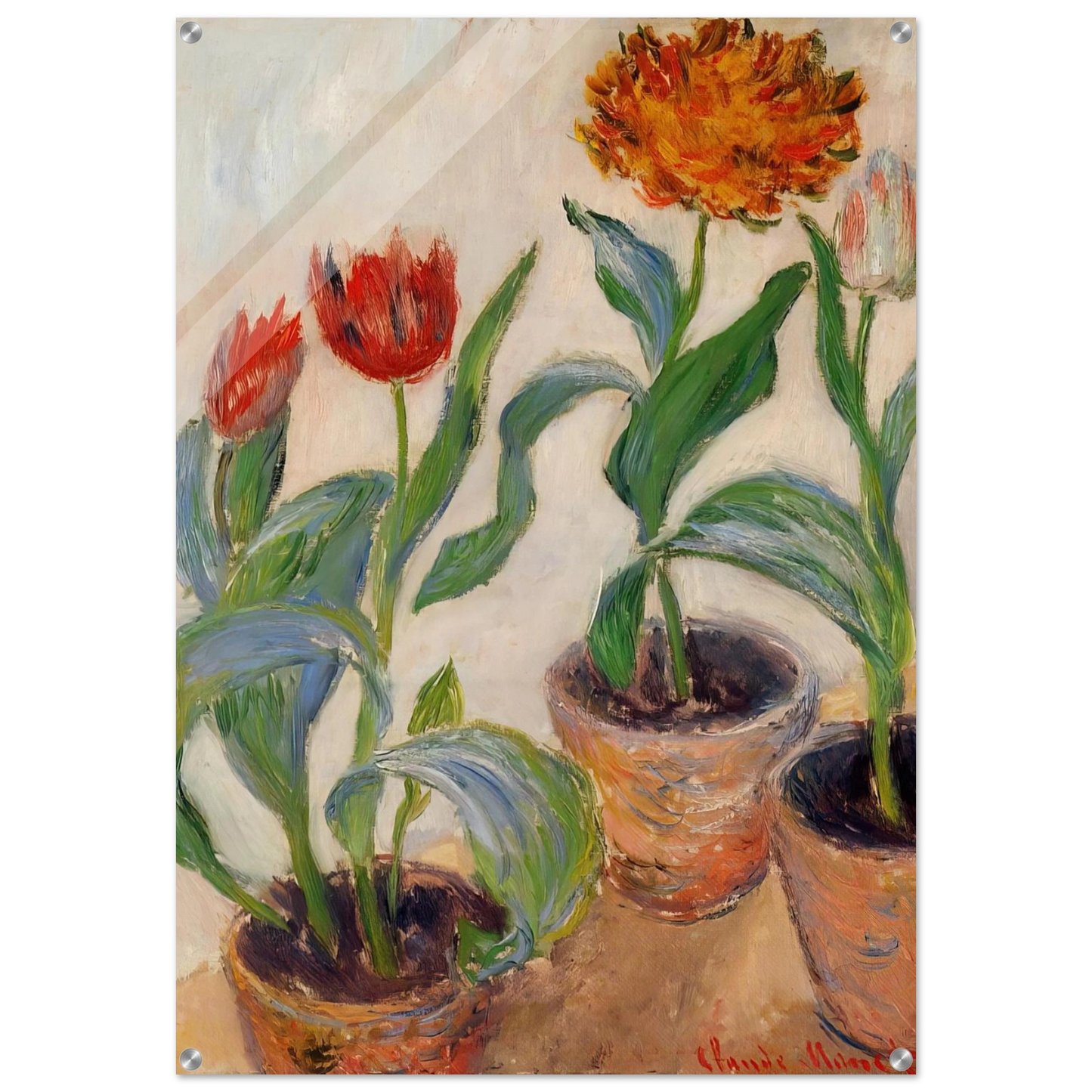 eff9c385-fd35-474f-83f6-7c036571ccd2