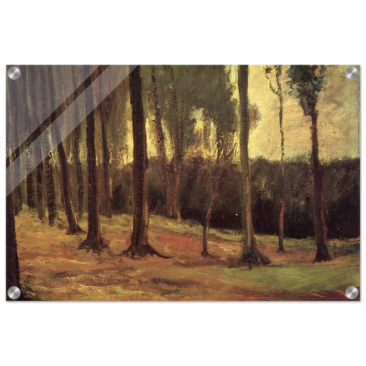 f00c5873-7e59-411d-ae15-80caccf776b3
