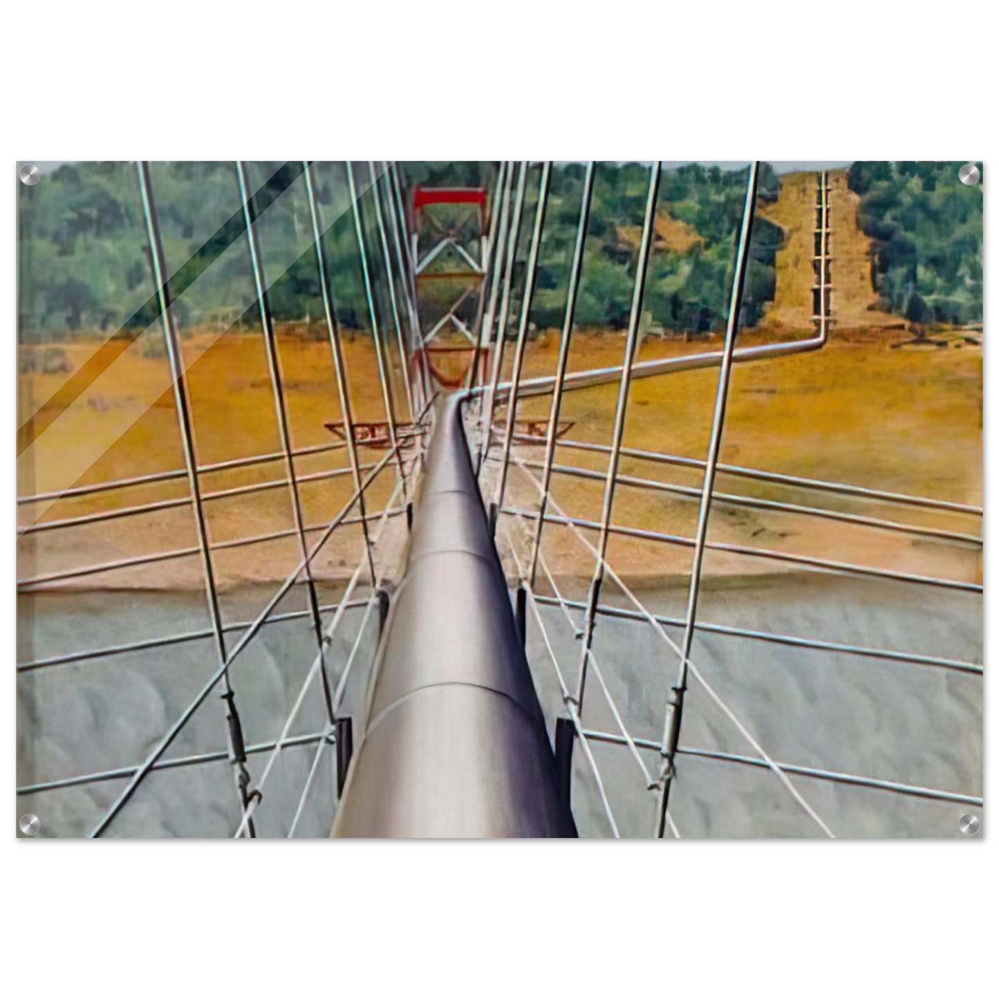 f03ac9cd-797a-47e5-9687-78524ff06f01