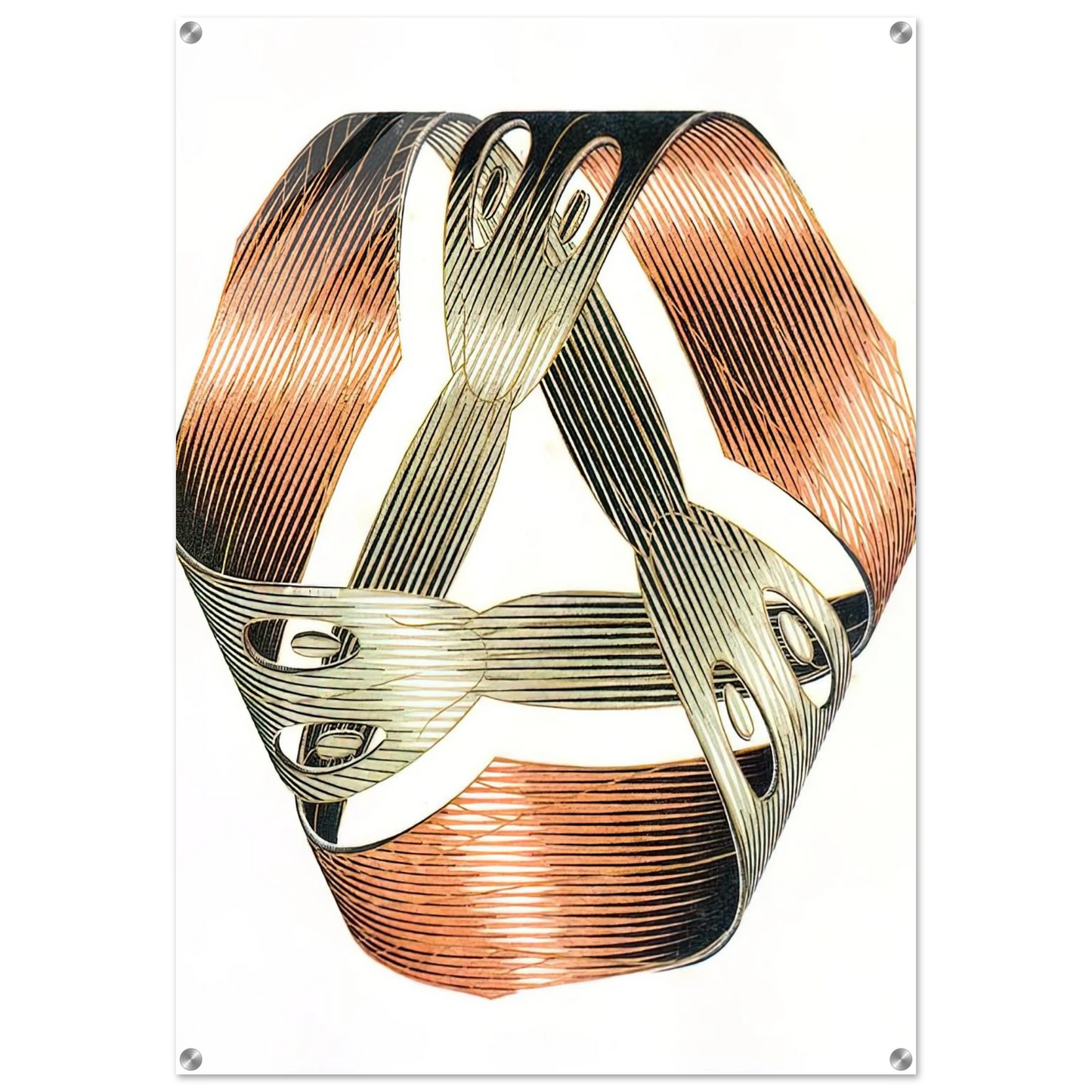 f1b06ebb-1370-4d43-bc74-1deb4ef40de7